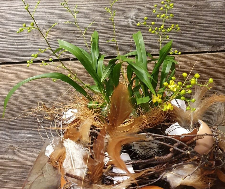 Osternest-fuer-eine-Orchidee-machen.jpg
