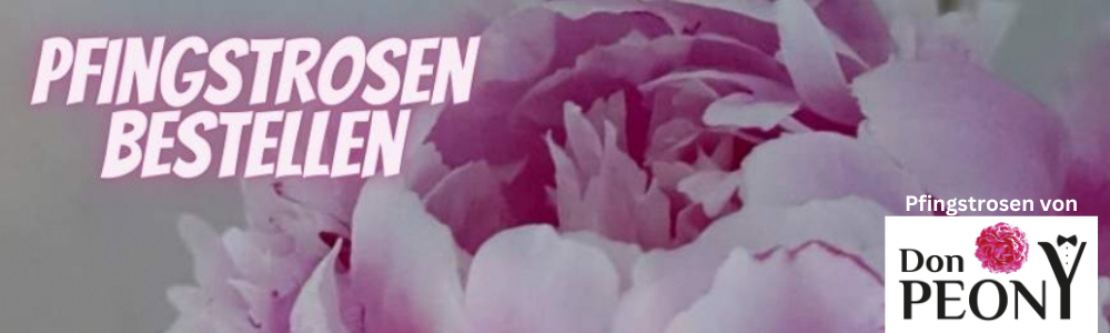 Pfingstrosen-Verkauf-Don-Peony-_2.png