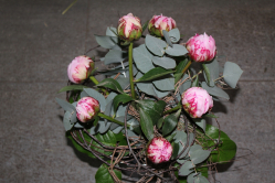 Strauss mit rosa Pfingstrosen (ausgeliefert am 27. Mai 2013 in Walkringen)