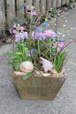 Pflanzenarrangement frühlingshaft zarte Farben ( ausgeliefert in Grosshöchstetten am 16. April 2015)