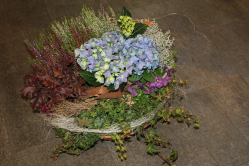 Herbstliches Pflanzenarrangement (ausgeliefert in Signau am 8. Oktober 2015)