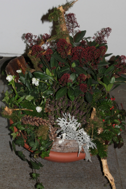 Pflanzenschale für Beerdigung (ausgeliefert auf den Friedhof in Grosshöchsttten am 21. Dezember 12)