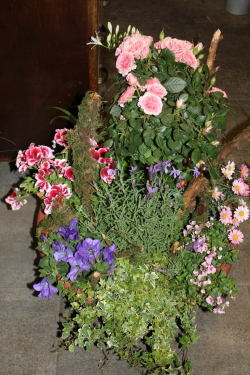Pflanzenschale rosa violett für Abdankungsfeier (abgeholt im Laden am 31. Mai 2013)