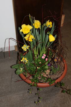 Pflanzenschale für Abdankungsfeier (ausgeliefert am 25. März 2013 in Münsingen)
