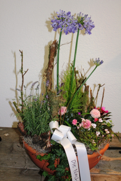 Pflanzesnchale sommerlich violett rosa