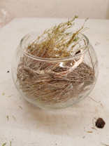 Glas Kugel