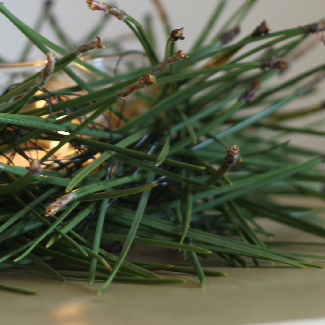 Pinenenadeln-DIY-Anleitung-Winterdekoration.jpg