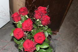 Rosenstrauss rot (ausgeliefert in Grosshöchstetten am 16. Dezember 2015)