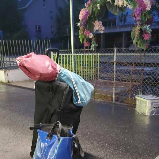 Reise-im-Zug.jpg
