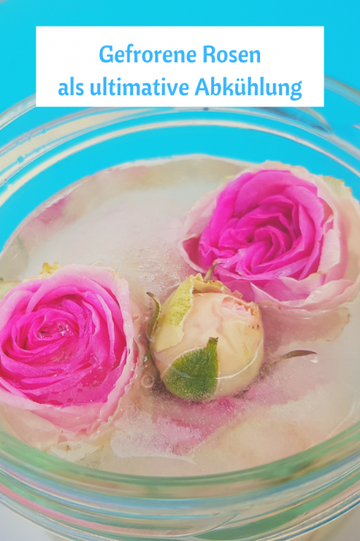 Rosen-als-abkuehlung-SOmmer-Party-Deko-Idee-Tischdekoration.png