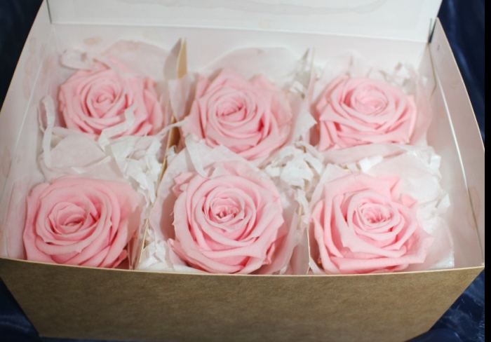 Gefriergetrocknete Rosen pink/pastell