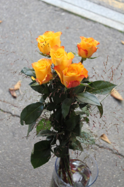 Mariclaire Rosen mit Gras (ausgeliefert in Grosshöchstetten am 8. Oktober 2015)