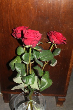 3 Rote Rosen (ausgeliefert in Konolfingen am 6. Februar 2013)
