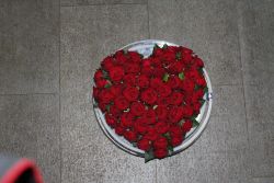 Rosenherz rot
