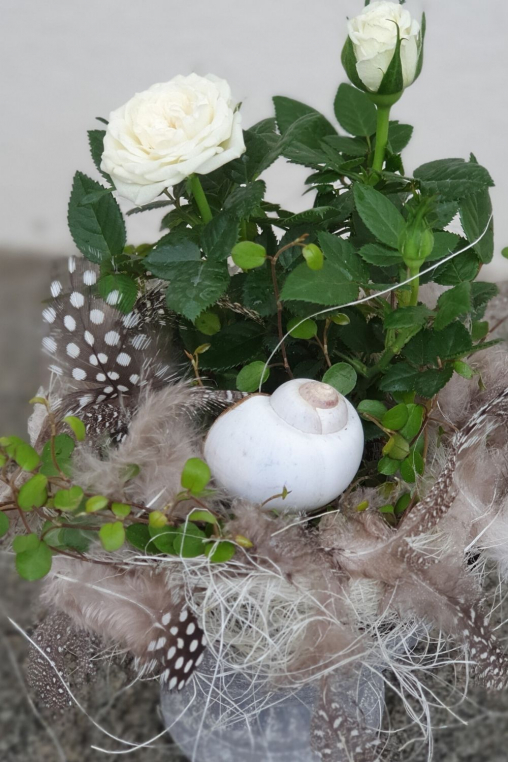 Rosenpflanze-weiss-schlicht-dekorieren-DIY.jpg