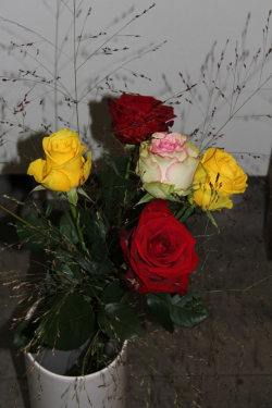 Rosenstrauss gemischt (ausgeliefert am 26. Oktober 2013 in Grosshöchstetten)