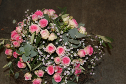 Rosenstrauss rosa (ausgeliefert auf den Friedhof in Münsingen am 8. April 2016)