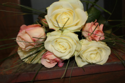 Rosenstrauss rosa weiss (ausgeliefert in Zäziwil am 26. Mai 2015)