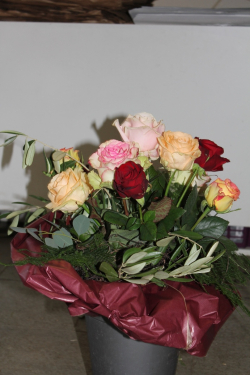 Rosenstrauss weiss (ausgeliefert in Grosshöchstetten am 12. Dezember 2013)