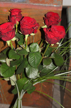 Rosenstrauss rot (ausgeliefert in Freimettingen am 14. Januar 2015)