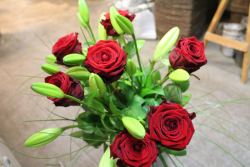 Rosenstrauss rot (ausgeliefert in Grosshöchstetten am 24. April 2015)