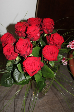 Rosenstrauss rot (ausgeliefert in Grosshöchstetten am 31. Mai 2013)