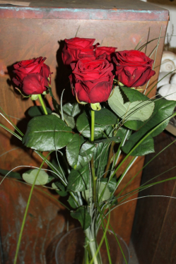 Rosenstrauss rot (ausgeliefert in Grosshöchstetten am 11. November 2013)
