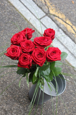 Rosenstrauss rot (ausgeliefert in Richigen am 1. September 2015)