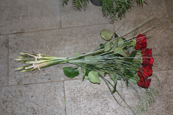 Rosenstrauss rot (ausgeliefert in Zäziwil am 9. März 2015)