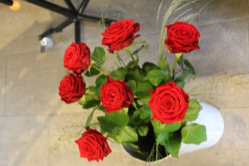 Rosenstrauss rot (ausgeliefert in Grosshöchstetten am 14. August 2015)