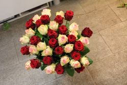 Rosenstrauss rosa rot (ausgeliefert in Grosshöchstetten am 3. Juni 2015)