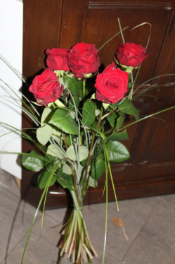 Rosenstrauss rot (ausgeliefert in Zäziwil am 14. Februar 2015)
