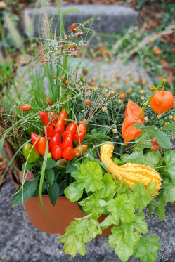 Rustikale-Herbst-Deko-zum-selber-machen-DIY-ANleitung-Blumenmann.png