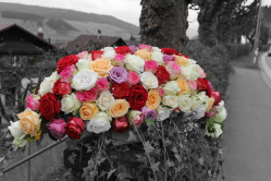 Sargschmuck aus gemischten Rosen (abgeholt im Laden am 7. April 2016)
