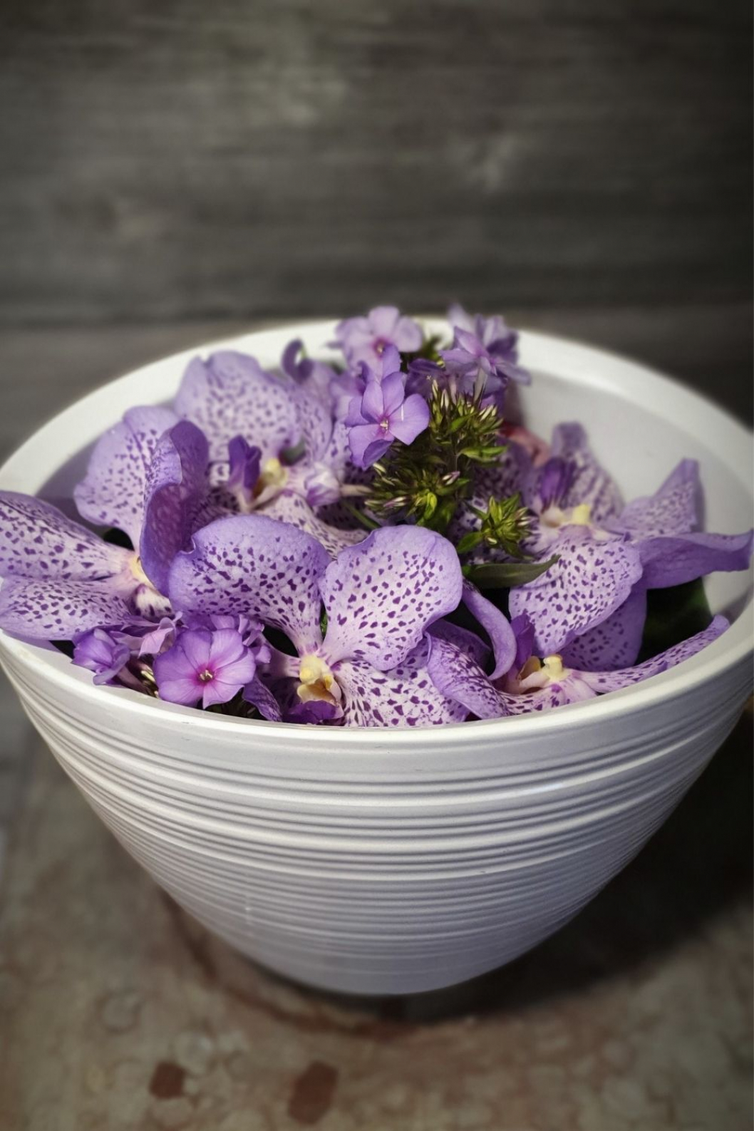 Schale-mit-Orchideen-fuellen-DIY-Anleitung.jpg