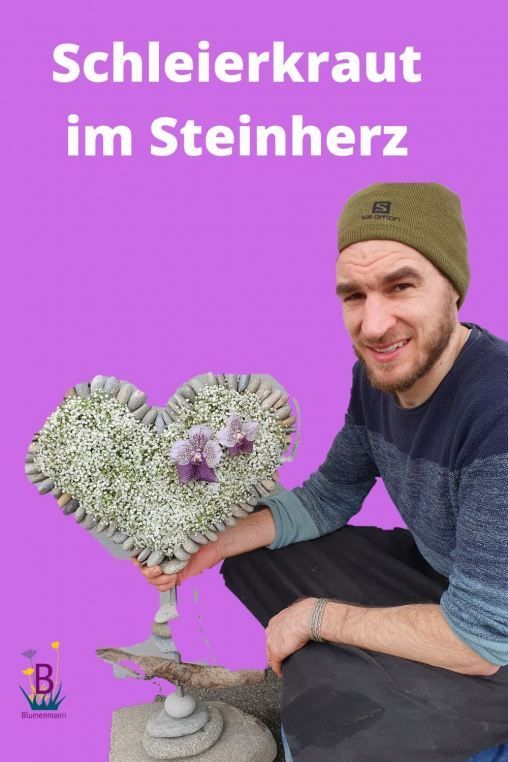 Schleierkraut-im-Steinherz.jpg