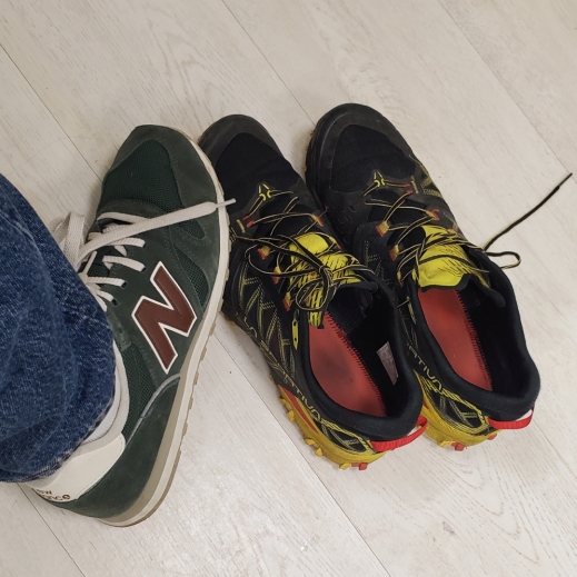Schuhe-schoen.png
