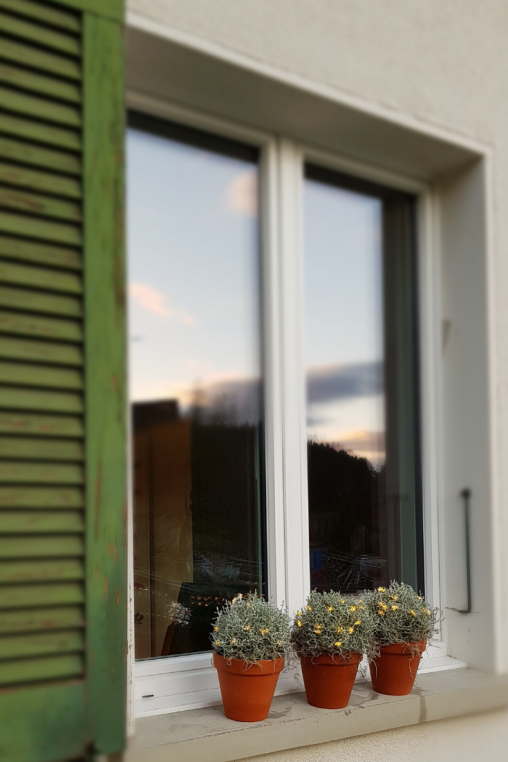 Silberdraht-Pflanze-Deko-idee-Winter-aussendeko-selber-machen-Fensterband-Deko.png