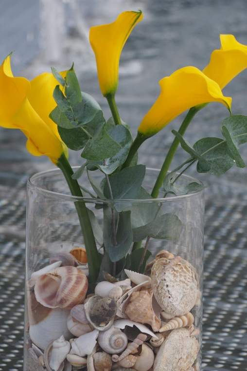 Sommerdeko-Idee-mit-muscheln-in-der-Vase.jpg