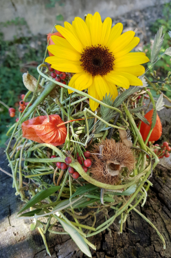 Sonnenblume-Bohnenranke-DIY-Idee-mit-Abfall.png