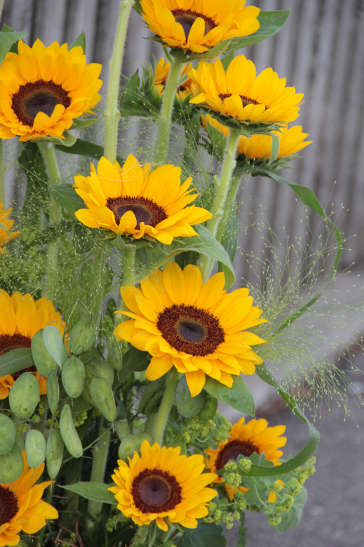 Sonnenblumengesteck-gross.JPG