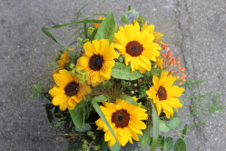 Sonnenblumenstrauss (ausgeliefert in Münsingen am 21. Juni 2016)