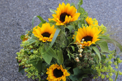 Sonnenblumenstrauss (ausgeliefert in Worb am 22. Juni 2016)