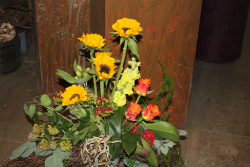 Sonnenblumenstrauss abgestuft (abgeholt im Laden am 16. Juni 2014)