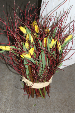 Tulpenstehstrauss gelb rot (ausgeliefert in Konolfingen am 6. April 2016)