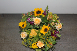 Strauss leuchtend (ausgeliefert in Grosshöchstetten am 28. Juni 2013)