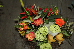 Strauss warme Farben (ausgeliefert in Grosshöchstetten am 10. Mai 2014)