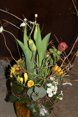 Strauss frühlingshaft (ausgeliefert am 15. April 2013 in Grosshöchstetten)