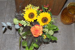 Strauss Herbstlich (ausgeliefert in Zäziwil am 5. September 2013)