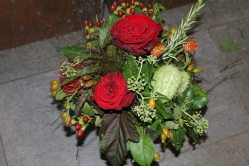 Strauss rot (ausgeliefert in Zäziwil am 6. September 2013)